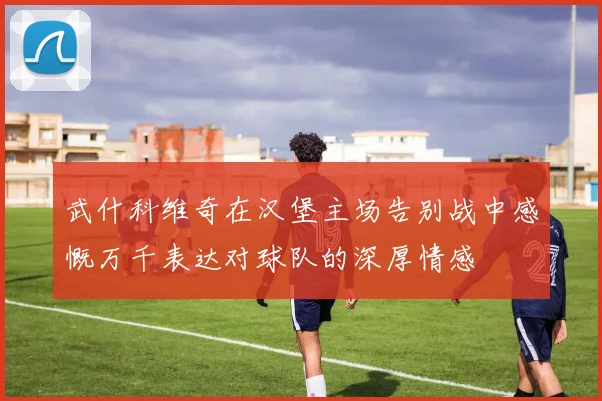 武什科维奇在汉堡主场告别战中感慨万千表达对球队的深厚情感