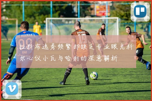 拉科布选秀频繁却缺乏专业眼光科尔心仪小瓦与哈利的深意解析